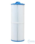 O2 Spas, Rising Dragon, Arctic Spas 50 C50 Cartridge